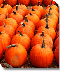 We produce Color Poster in Vibrant (up to 60 x 120 inches) - 24 hour production